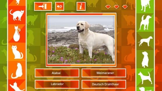 JQ: dogs & cats — screenshot 3