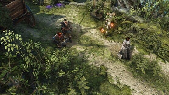 Divinity: Original Sin II — screenshot 5