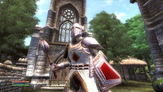The Elder Scrolls IV: Knights of the Nine — screenshot 1