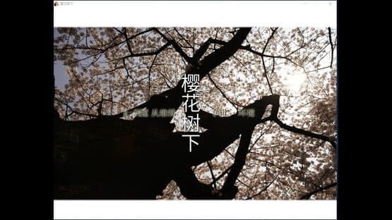 Beneath the Cherry Trees — screenshot 4