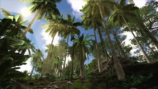 Lost Shipwreck — screenshot 3