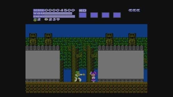 Flying Dragon: The Secret Scroll — screenshot 3