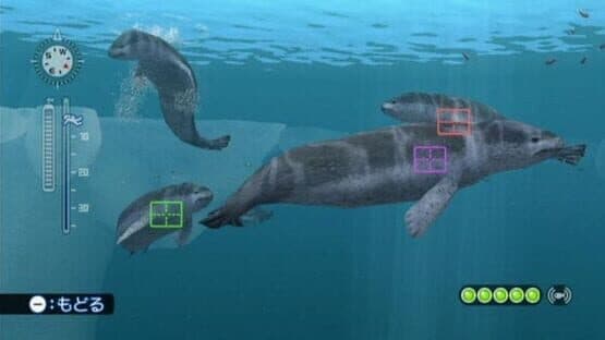 Endless Ocean: Blue World — screenshot 7