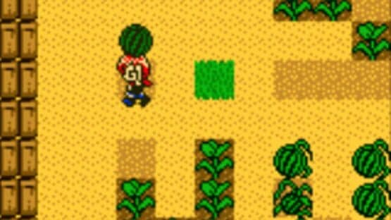 Harvest Moon 2 GBC — screenshot 3
