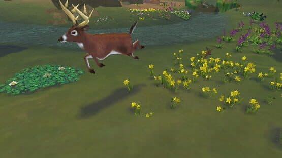 SimAnimals — screenshot 7