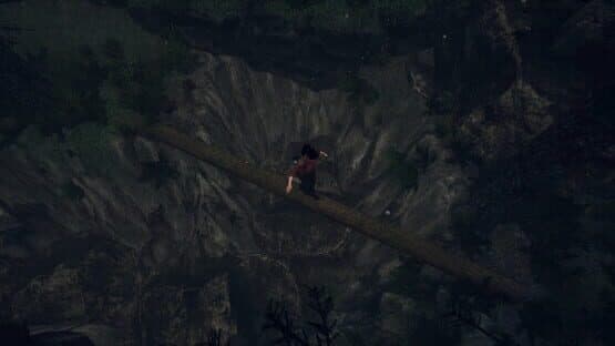 The Amazonian Dread — screenshot 8