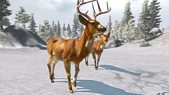 Cabela's Trophy Bucks — screenshot 1