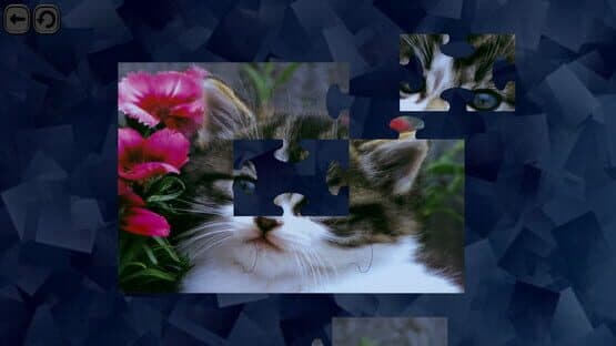 Puzzles for smart: Cats — screenshot 3