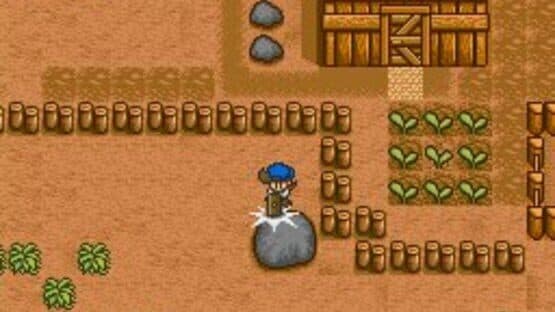 Harvest Moon — screenshot 6