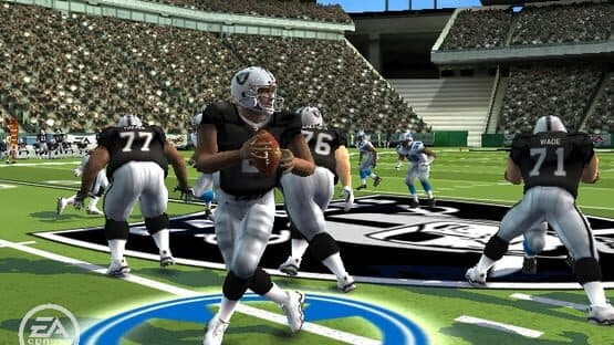 Madden NFL 09 — screenshot 3