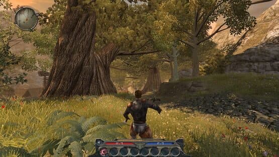 Divinity II: Ego Draconis — screenshot 1