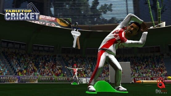 TableTop Cricket — screenshot 4