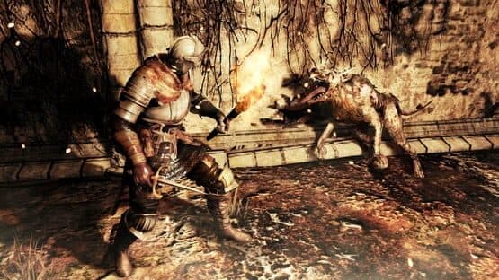 Dark Souls II — screenshot 2
