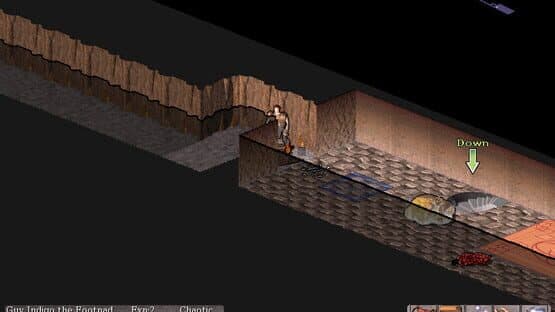 Vulture for NetHack — screenshot 4