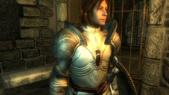 The Elder Scrolls IV: Oblivion - Game of the Year Edition — screenshot 5