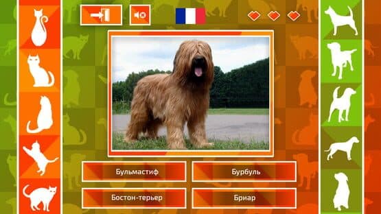 JQ: dogs & cats — screenshot 4