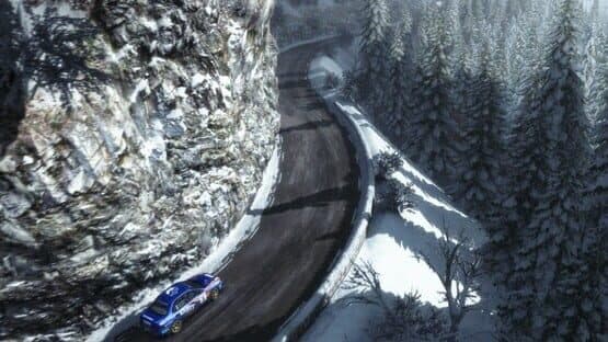 Dirt Rally — screenshot 4