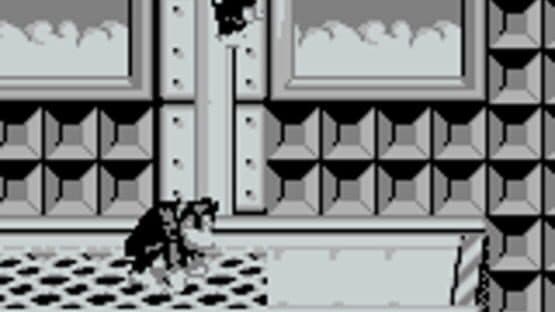 Donkey Kong Land — screenshot 8