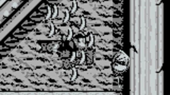 Donkey Kong Land — screenshot 3