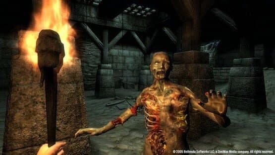 The Elder Scrolls IV: Oblivion - Game of the Year Edition Deluxe — screenshot 2