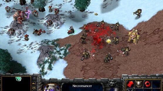 Warcraft III: Reign of Chaos — screenshot 1