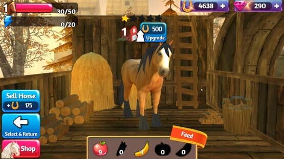 Horse Paradise: My Dream Ranch — screenshot 3
