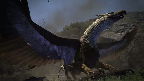 Dragon's Dogma: Dark Arisen — screenshot 2
