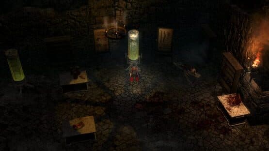 Grim Dawn — screenshot 5