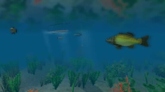 European Fishing — screenshot 2