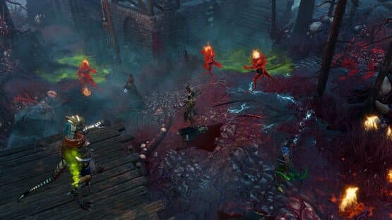 Divinity: Original Sin II - Definitive Edition — screenshot 4