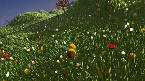 b — screenshot 7