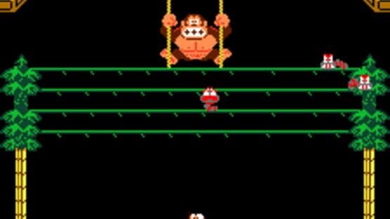 Donkey Kong 3 — screenshot 1