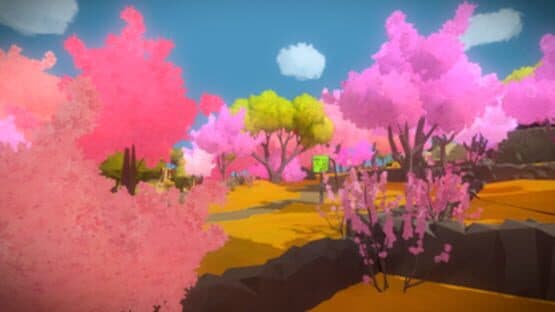 The Witness — screenshot 6