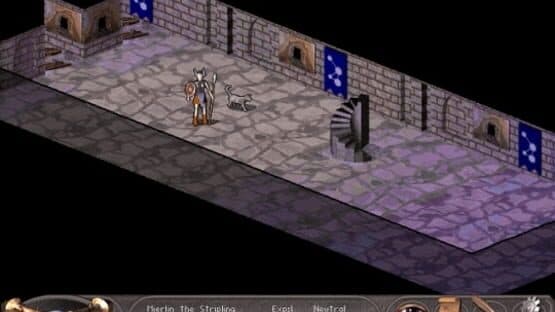 Nethack: Falcon's Eye — screenshot 1