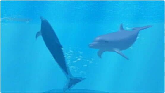 My Dolphin — screenshot 4