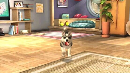 PlayStation Vita Pets — screenshot 5