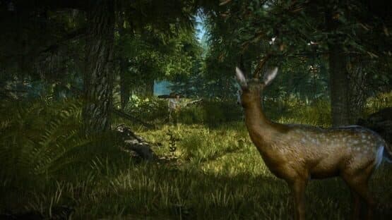 The Witcher 2: Assassins of Kings - Enhanced Edition — screenshot 3