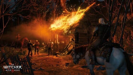 The Witcher 3: Wild Hunt — screenshot 2