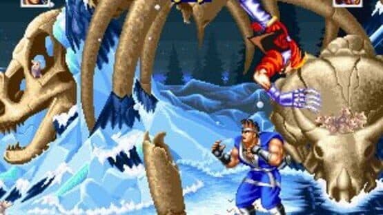 World Heroes Perfect — screenshot 1