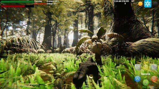The Lonely Gorilla — screenshot 1