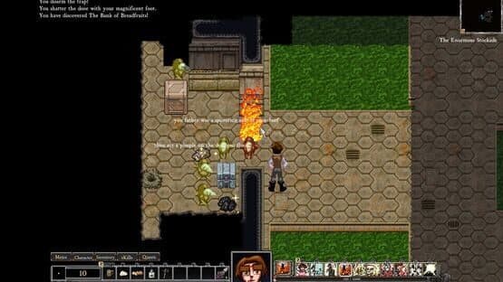 Dungeons of Dredmor — screenshot 2