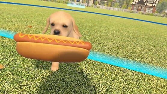 Dream Pet VR — screenshot 4
