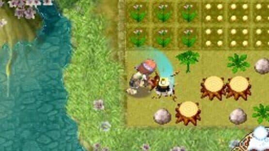 Rune Factory 2: A Fantasy Harvest Moon — screenshot 6