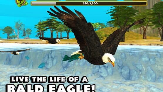 Eagle Simulator — screenshot 1