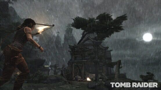 Tomb Raider — screenshot 4