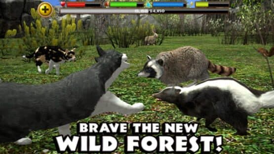 Stray Cat Simulator — screenshot 4