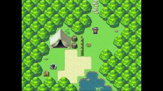 The King's Request — screenshot 4