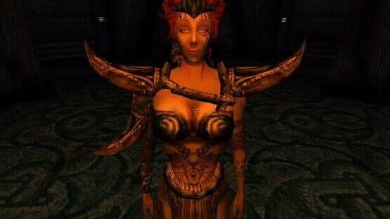 The Elder Scrolls III: Tribunal — screenshot 4