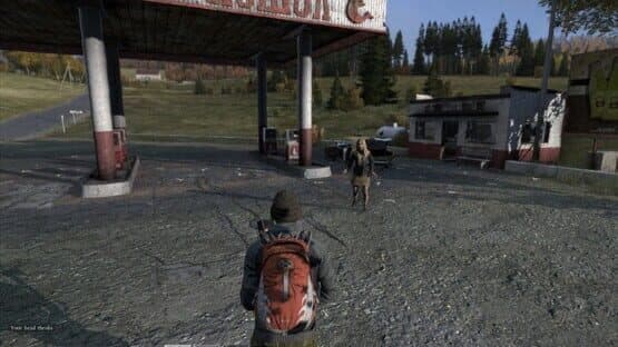DayZ — screenshot 2