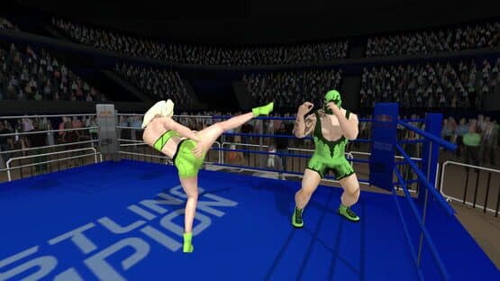 Wrestlers Without Boundaries — screenshot 1
